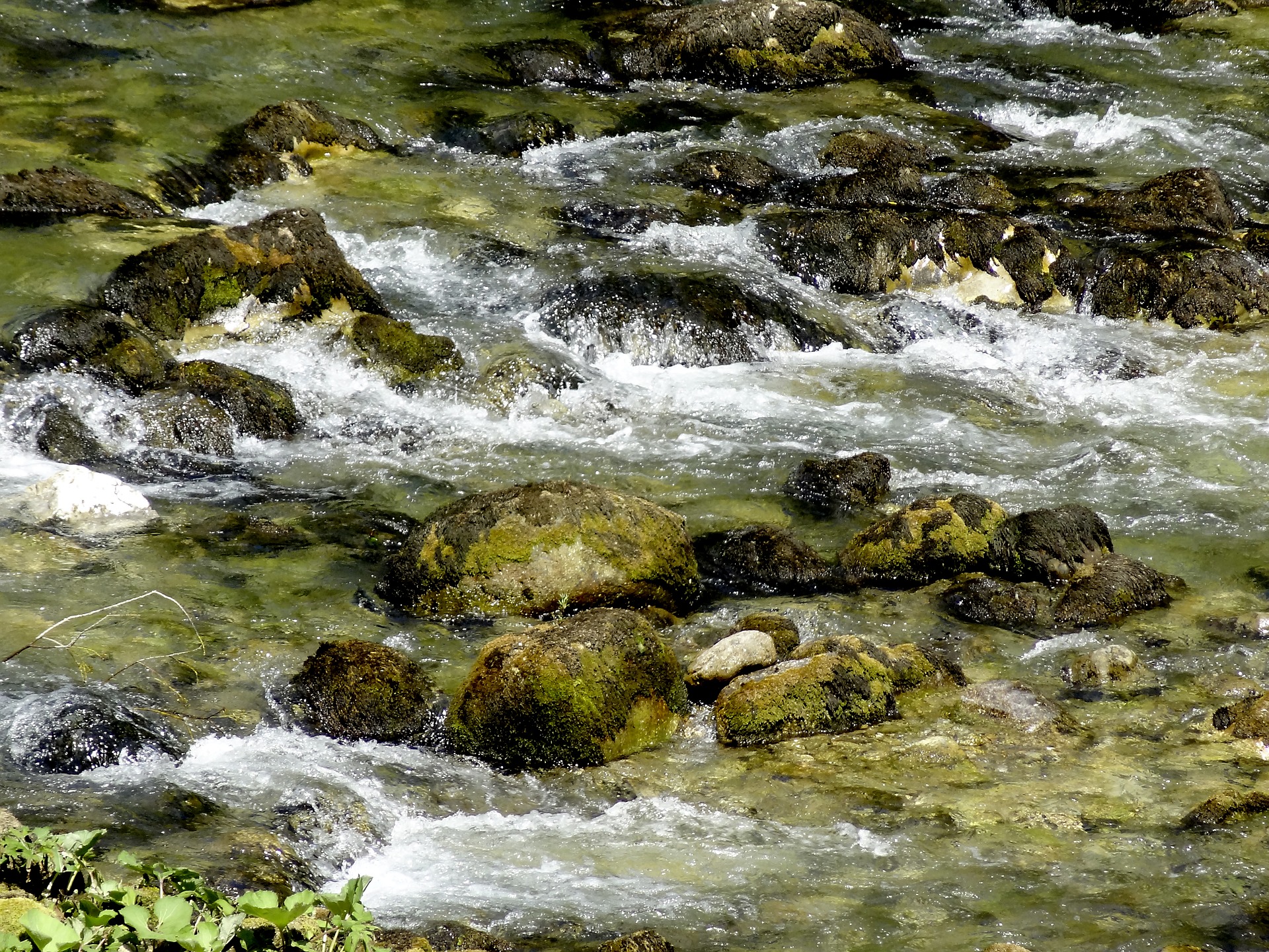 Pixabay