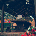 Dvorište: velika sjenica