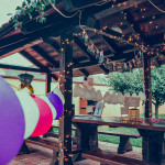 Dvorište: velika sjenica