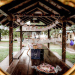 Dvorište: velika sjenica