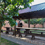 Dvorište: velika sjenica