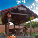 Dvorište: velika sjenica